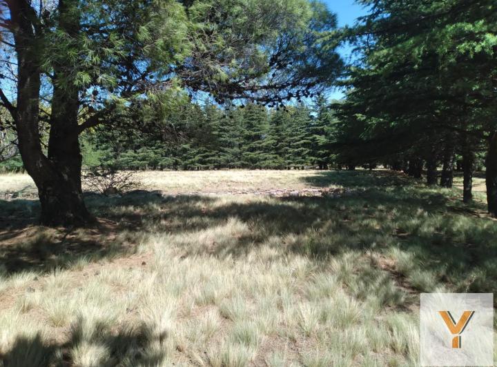 Terreno · 5492m²