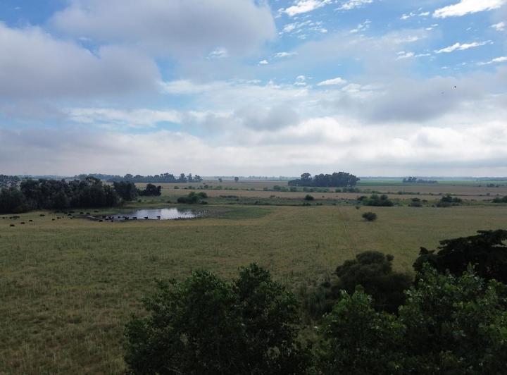 Campo · 240000m²