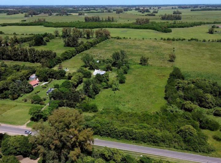 Campo · 220m² · 5 Ambientes
