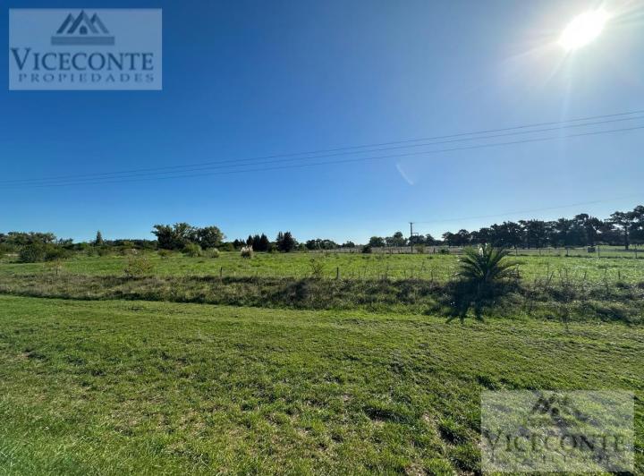 Campo · 18621m²
