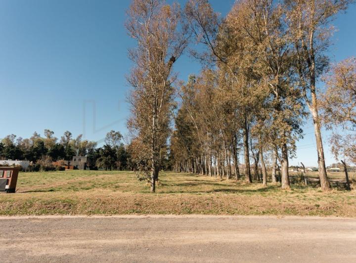 Terreno · 1003m²
