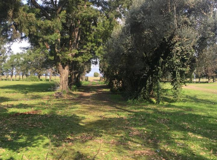 Terreno · 5ha