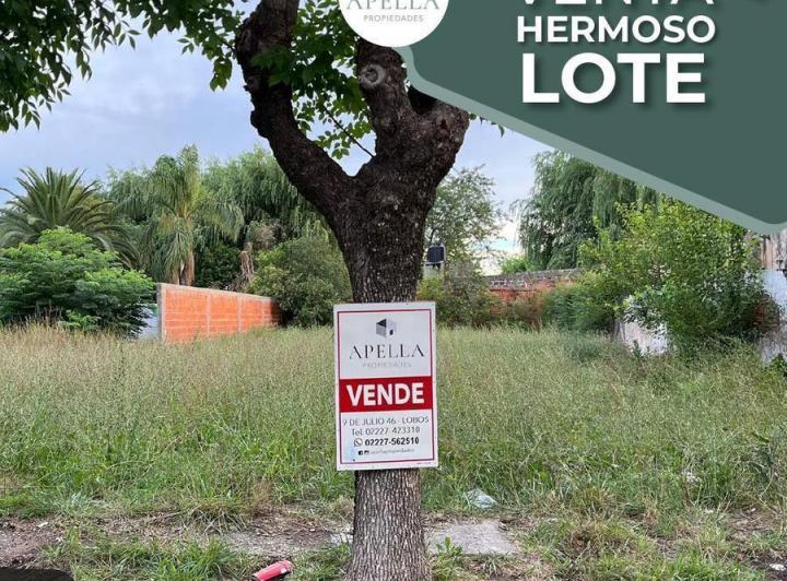 Terreno · 1m²