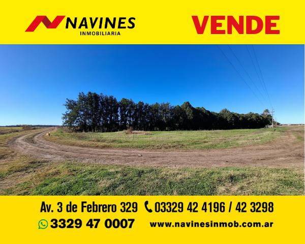 Campo · 40000m²