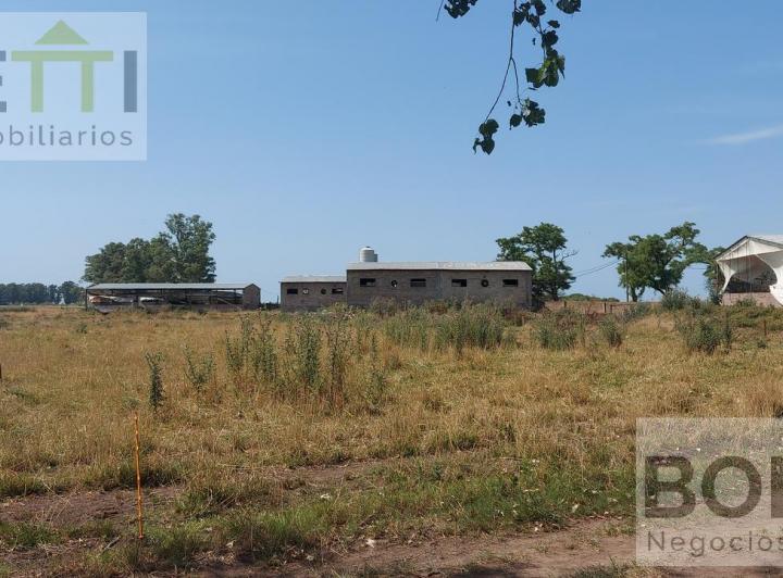 Campo · 1100ha · 2 Ambientes
