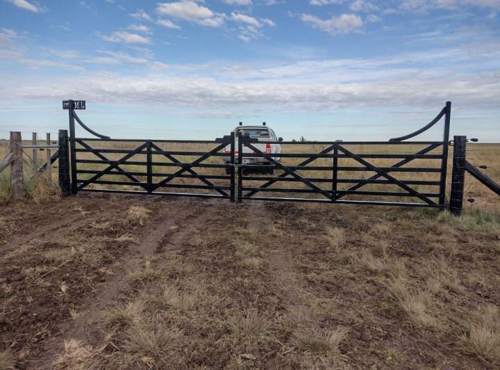 Campo · 220ha