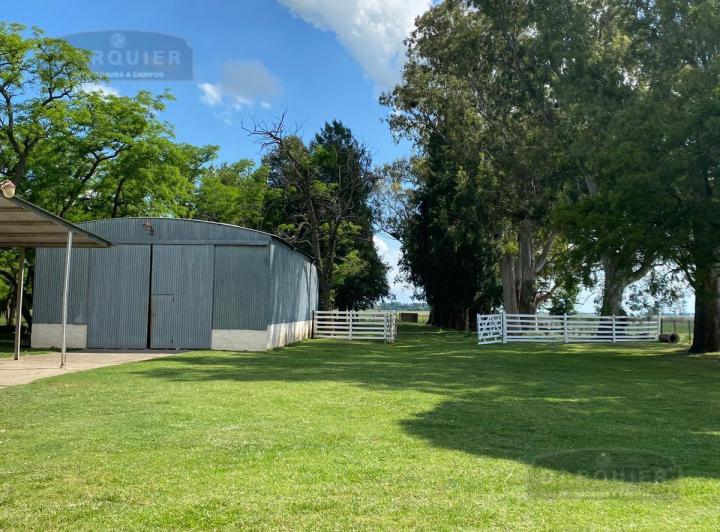 Campo · 167m² · 4 Dormitorios