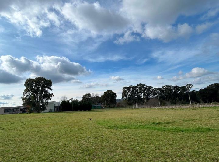 Terreno · 800m²
