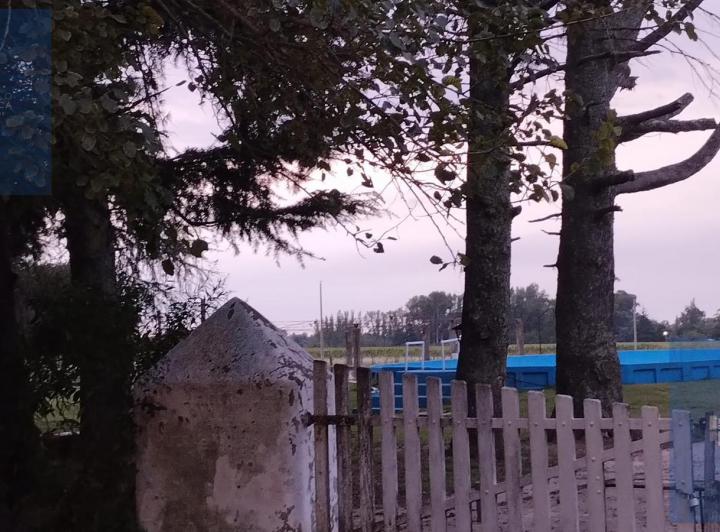 Campo · 4500000ha