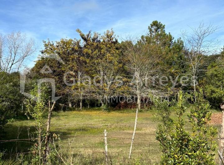 Terreno · 1600m²