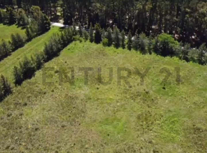 Terreno · 12600m²