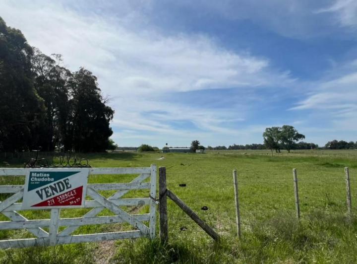 Terreno · 5000m²