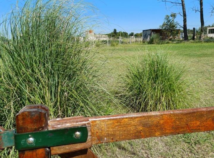 Terreno · 1000m²