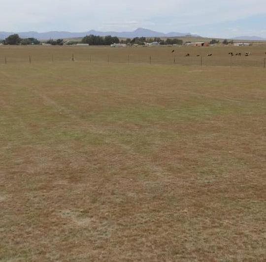 Terreno · 2000m²