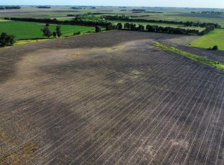 Campo · 1m²