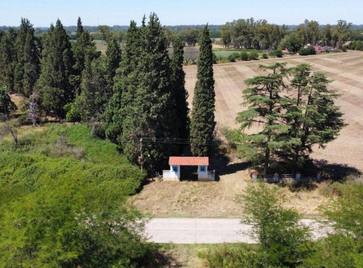 Campo · 300ha