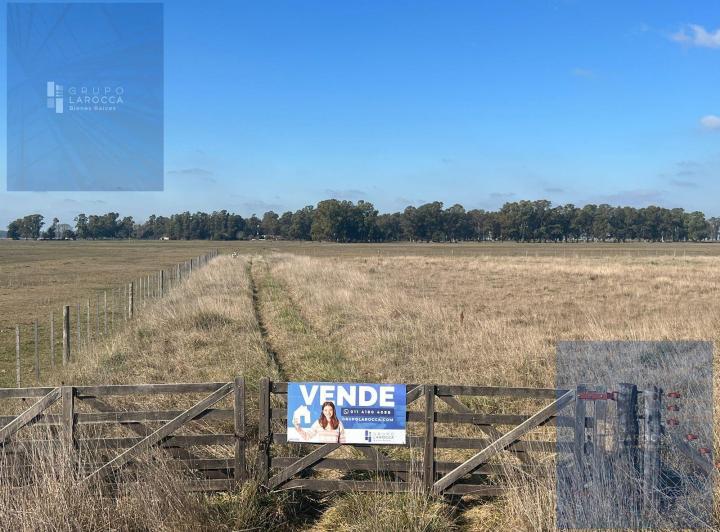 Quinta vacacional · 10000m²