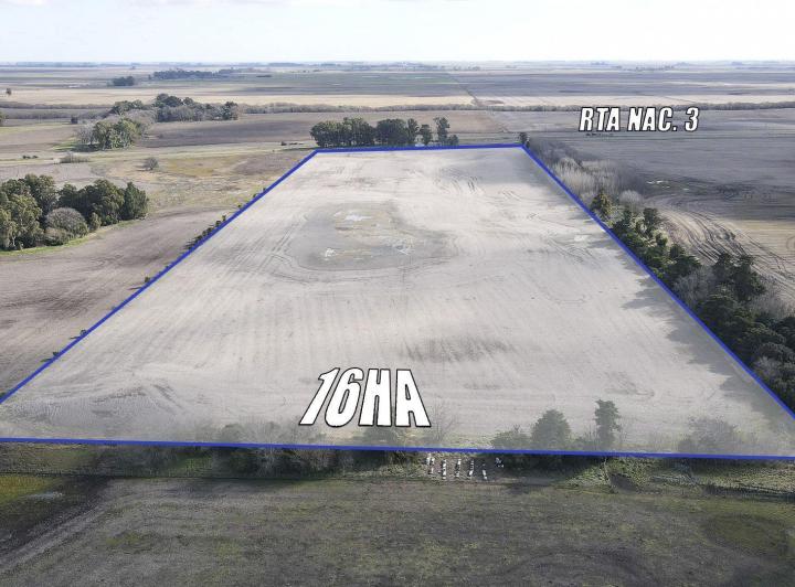 Campo · 200ha