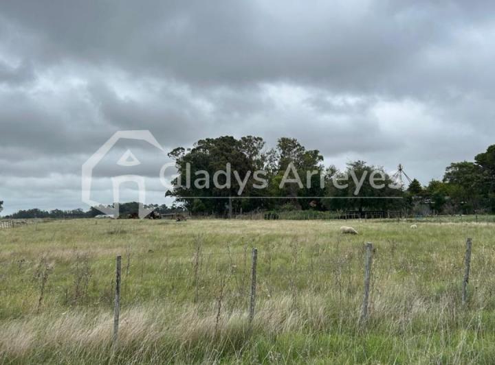 Campo · 17750m²