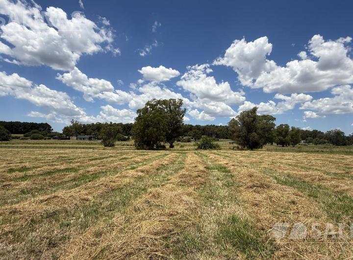 Terreno · 18000m²