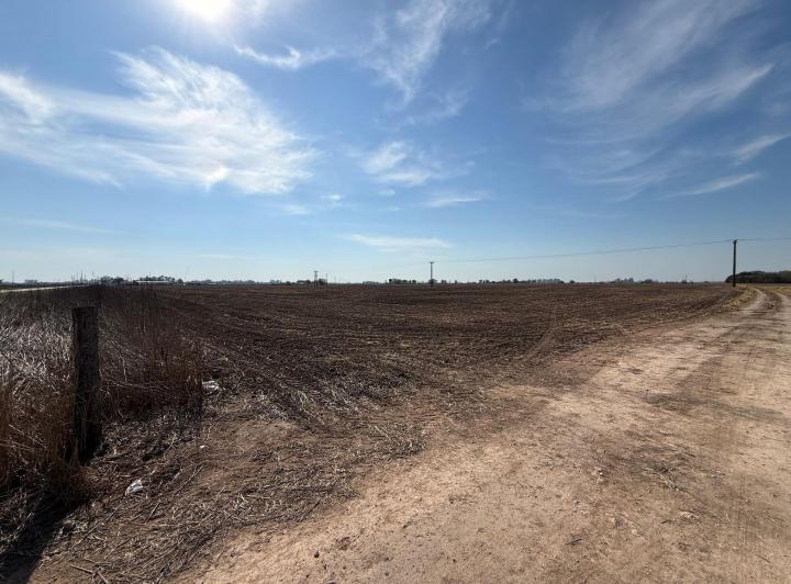 Campo · 61ha