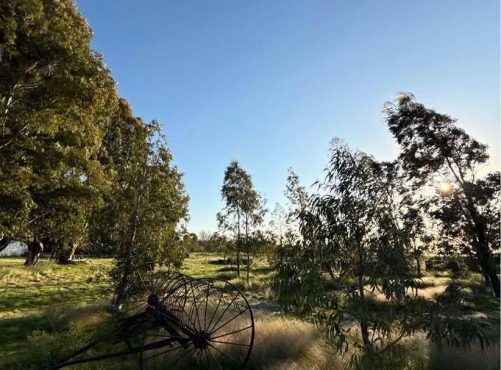 Campo · 13200m²