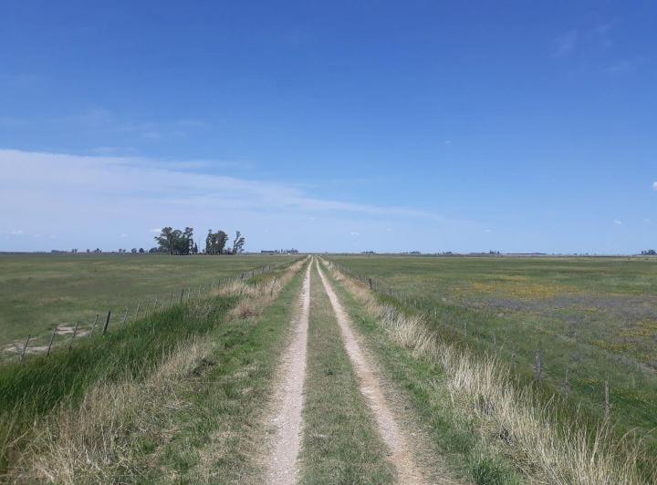 Campo · 1500m²