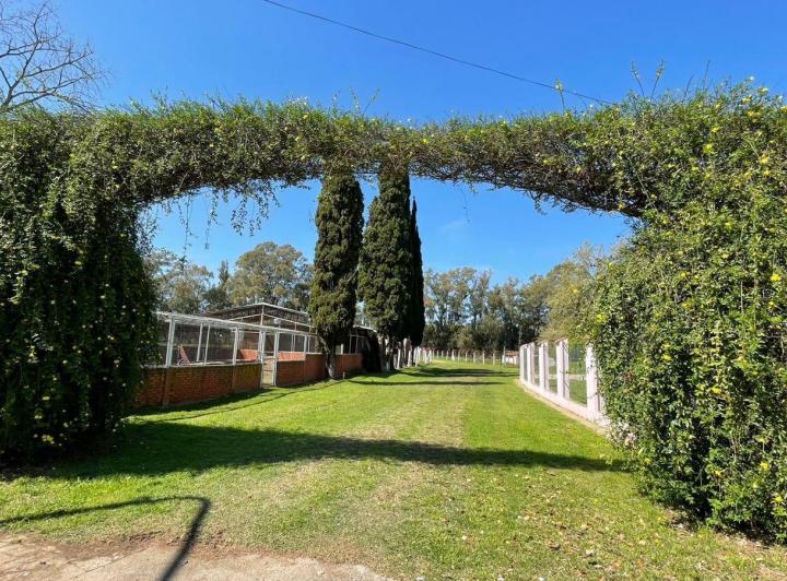 Hotel · 240000m² · 12 Ambientes