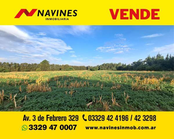 Terreno · 300m²