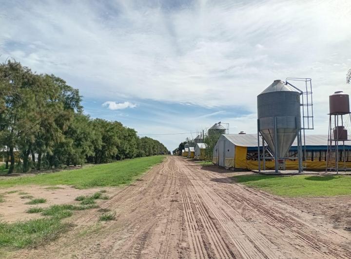 Campo · 25ha · 11 Ambientes