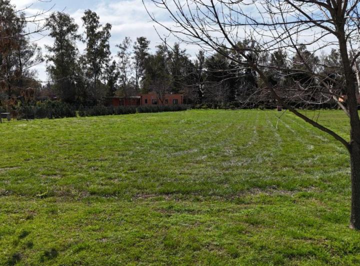 Terreno · 1000m²