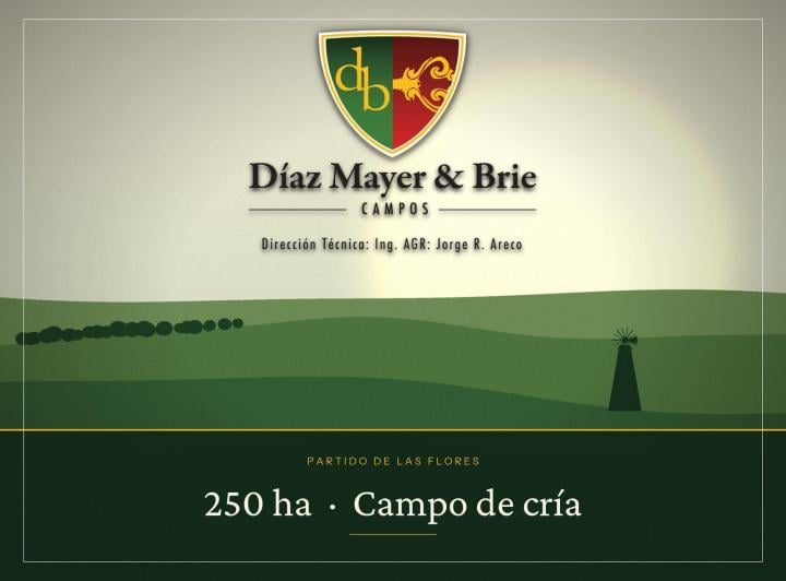 Campo · 2500000ha