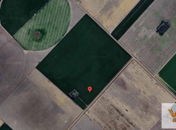 Campo · 10ha