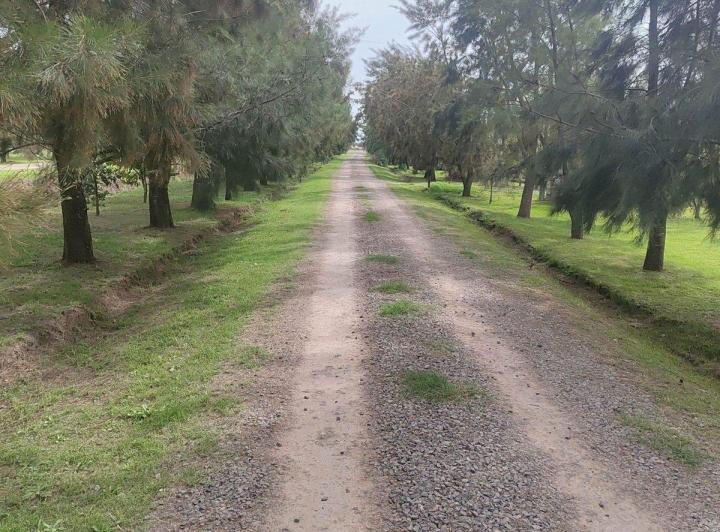 Terreno · 1200m²
