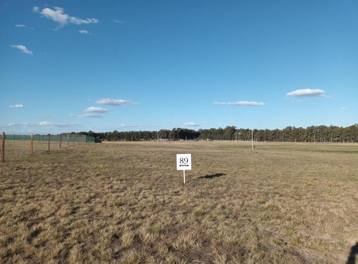 Terreno · 1000m²