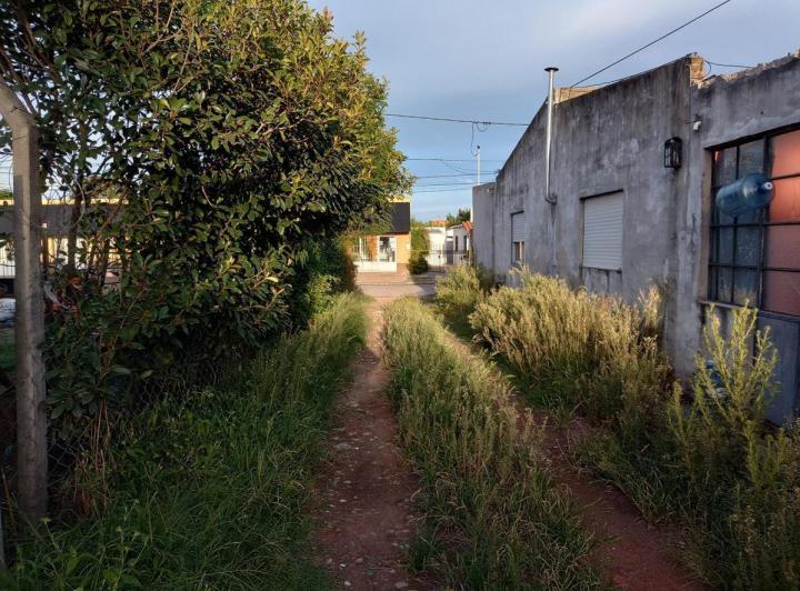 Casa · 250m² · 3 Ambientes · 1 Cochera