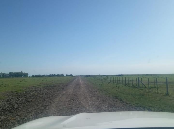 Campo · 500ha