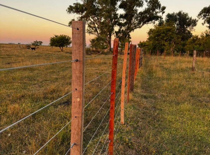 Campo · 93m²
