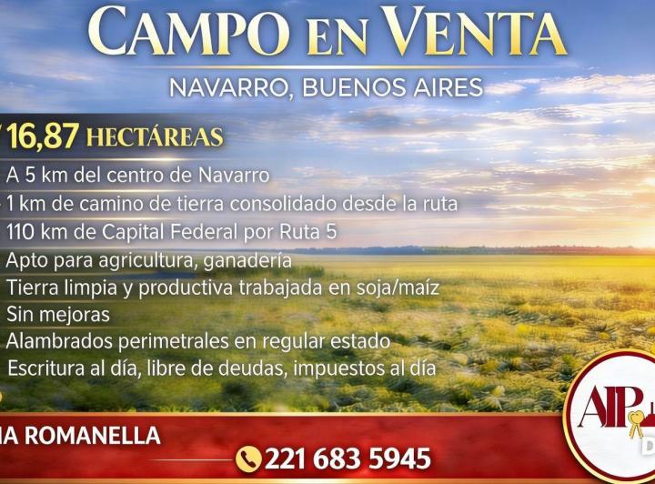 Campo