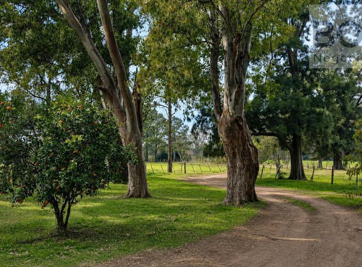 Campo · 300000ha · 6 Ambientes