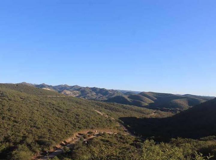 Terreno · 1338m²