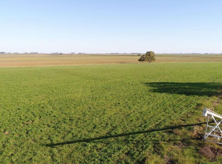 Campo · 620m²