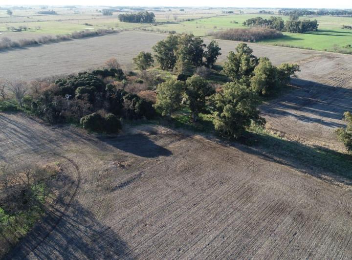 Campo · 270000m²
