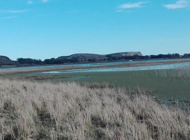 Campo · 106m²