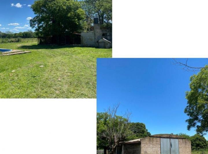 Campo · 80ha