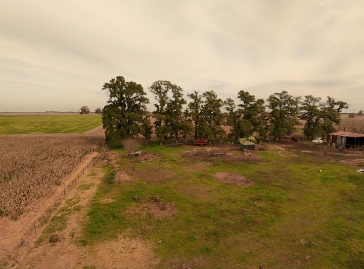 Campo · 35000m² · 1 Ambiente
