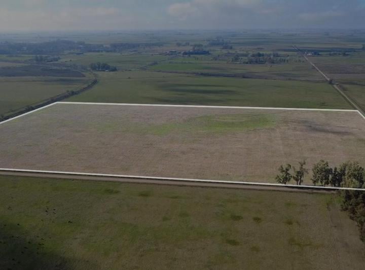 Campo · 32ha