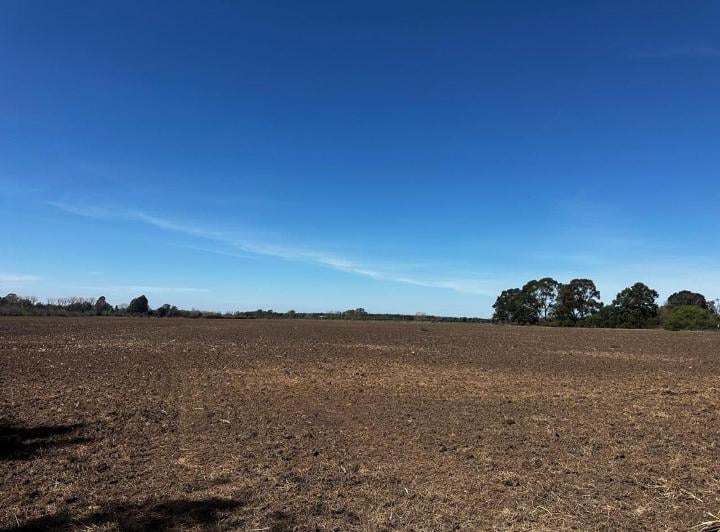 Campo · 184744m² · 1 Ambiente