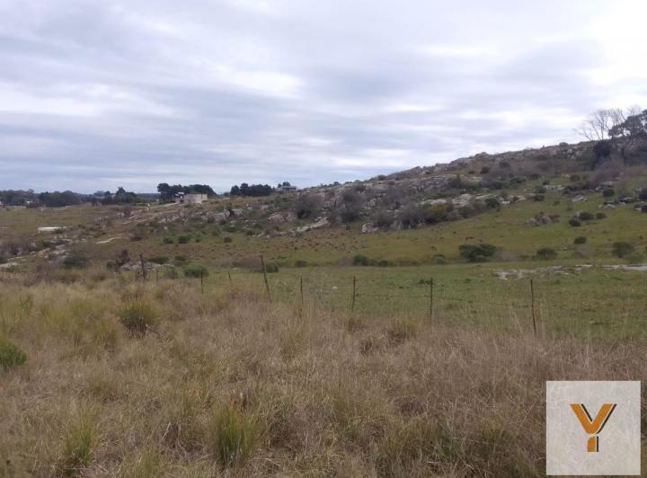 Terreno · 1037m²
