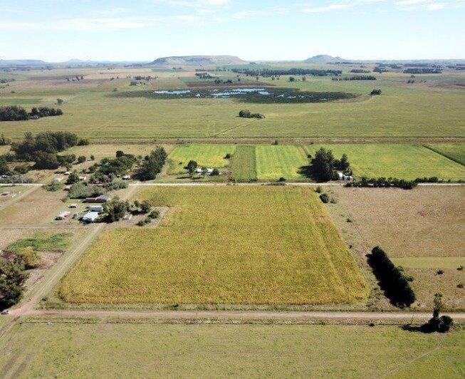 Campo · 40000m²